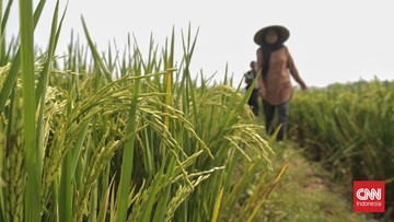 Reformasi Subsidi Pupuk dan Modernisasi Alsintan Perkuat Fundamental Ketahanan Pangan
