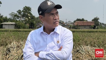Mentan Antisipasi Penurunan Produksi Sawit Akibat El Nino 2027