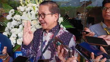 Produksi Kucing Liar Mundur ke 2029, Apa Dampaknya bagi Ekonomi?