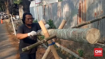 Berkah Musiman: Perajin Pohon Pinang Tangerang Kebanjiran Pesanan