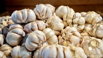 PTPN Siapkan 10.000 Hektare Lahan Bawang Putih di Jawa Barat