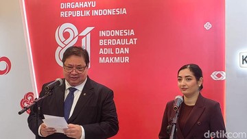 Airlangga Buka Peluang Investasi Jerman: Energi hingga Digitalisasi