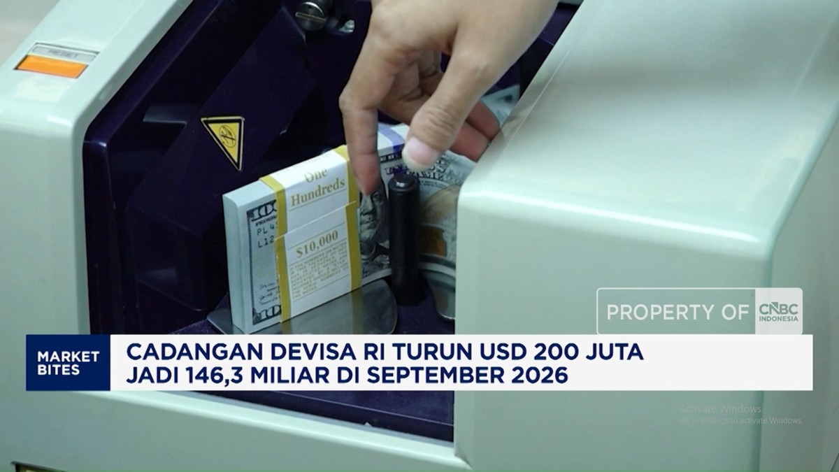 Cadangan Devisa RI Turun Tipis Jadi USD 146,3 Miliar pada September 2026