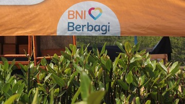 BNI Dorong Pelestarian Mangrove dan Ekonomi Pesisir