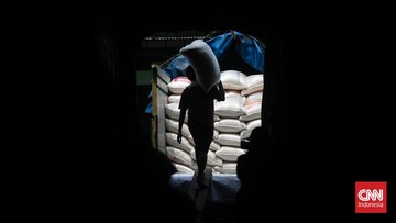 Swasembada Beras 2025: Antara Optimisme Produksi dan Ujian Struktural