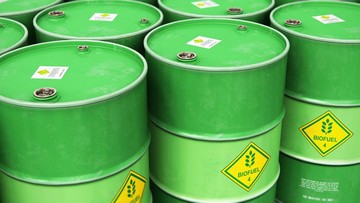 GAPKI Usul Skema Fleksibel Alokasi Sawit untuk Biofuel dan Ekspor