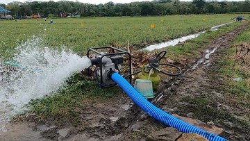 56.000 Pompa Air Disiagakan Hadapi Ancaman Kekeringan Sawah 2026