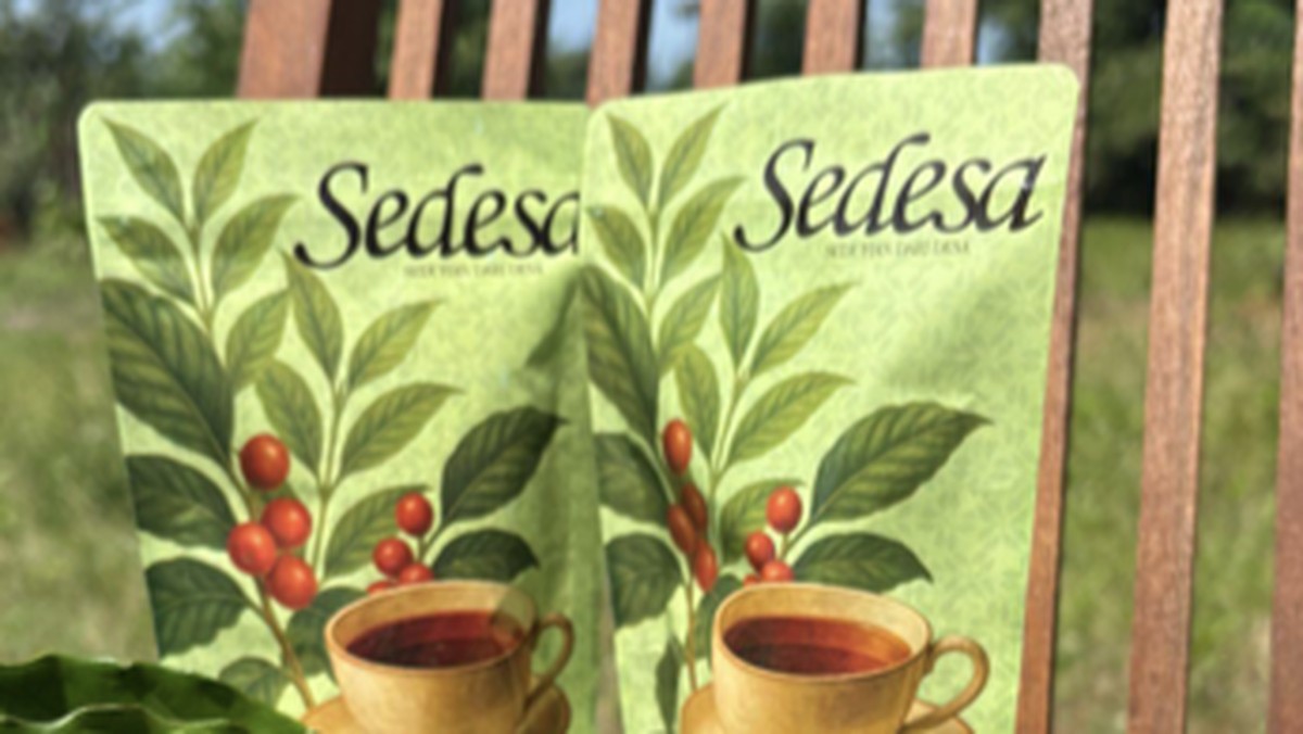 Inovasi Teh Daun Kopi Dongkrak Ekonomi Mandiri Toyomarto