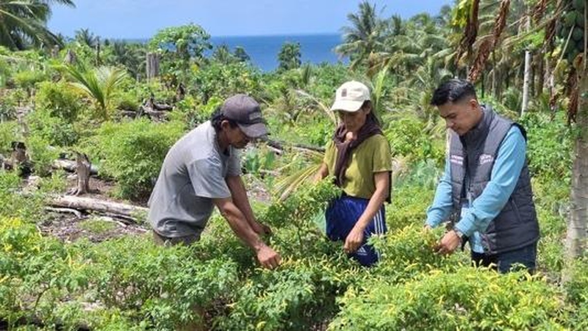 Mantri BRI Menggerakkan Ekonomi UMKM di Perbatasan Talaud