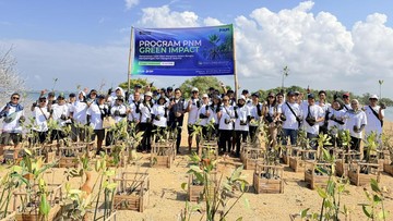 PNM Dorong Kesejahteraan Pesisir Melalui Aksi Mangrove