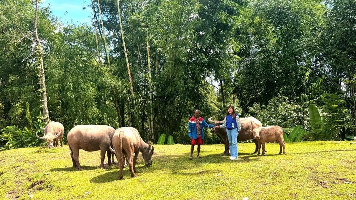 Jejak Inklusi Keuangan di Lereng Toraja Lewat Tangan Perempuan