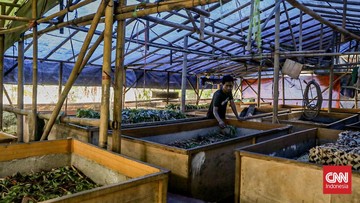 Kampung Jangkrik Depok, Perputaran Uang Rp1,2 Juta per Hari