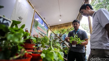 Festival Pangan Lestari di Jakarta Dorong Konsumsi Lokal Berkelanjutan
