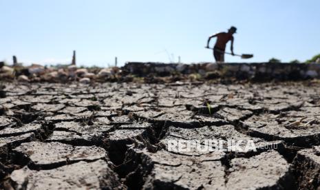 Kekeringan 30 Ribu Hektare, Mentan Pastikan Stok Beras Nasional Aman