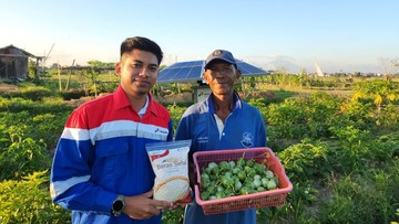 Energi Terbarukan Dongkrak Hasil Panen Petani Bali