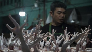 Kemendagri Curiga Distributor Mainkan Harga Ayam Rp100 Ribu di Intan Jaya