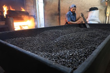 Produksi Kopi Tradisional Aceh: Antara Kapasitas Harian dan Fluktuasi Harga