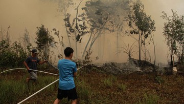 Pemerintah Evaluasi Penanganan Karhutla Kalimantan Sore Ini