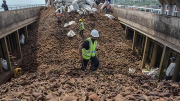 Target Produksi Kopra Nasional Tembus 2,86 Juta Ton pada 2028