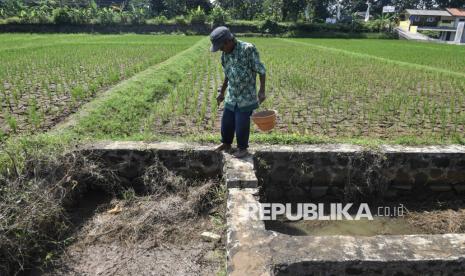 Kekeringan dan Ketahanan Pangan: Antara Jaminan Pemerintah dan Risiko Pasar