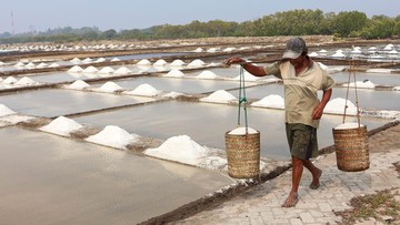 Panen Melimpah Tekan Harga Garam Takalar hingga 70 Persen