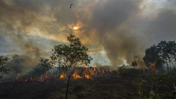 Karhutla Tersisa 209,78 Hektare, Penerbangan Masih Terganggu