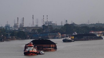 HBA Agustus 2026 Turun ke US$ 124,44 per Ton, Begini Analisisnya