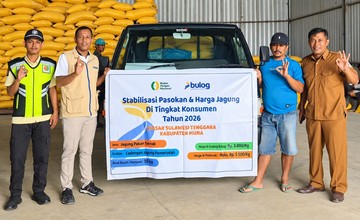 Bulog Percepat SPHP Jagung Pakan demi Jaga Stok Nasional