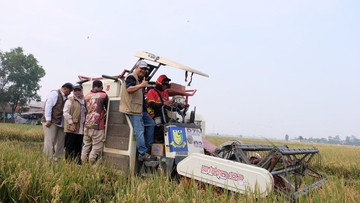 Stok Beras Bulog Tembus 5,25 Juta Ton, Ketahanan Pangan Menguat