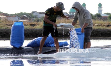 Regulasi Garam Cirebon dan Nasib 1.005 Petambak