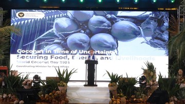 Kelapa Naik Kelas Jadi Komoditas Global, RI Siapkan Peta Jalan 51 Ribu Hektare