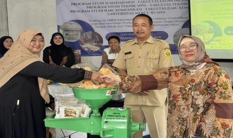 Singkong 7.800 Meter Persegi, KWT Anjani Bidik Industri Tepung Lokal