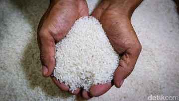 Stok Beras NTT 39.000 Ton, Pemerintah Pastikan Kebutuhan Korban Gempa Aman