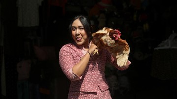 Aksi Bagi Ayam Gratis: Potret Tekanan Biaya Pakan Peternak