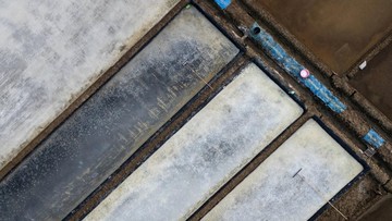 El Nino Dongkrak Produksi Garam Cirebon hingga 600 Ton