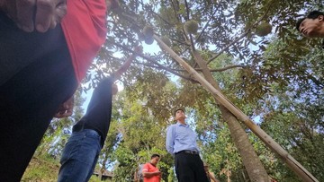 Percepatan Proyek Hortikultura Buleleng: Peluang Ekspor Menghadapi Tantangan Gestasi