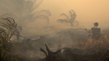 19 Perusahaan dan Karhutla: Analisis Ekonomi