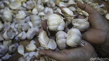 Impor Bawang Putih Tembus 229 Ribu Ton, 98 Persen dari China