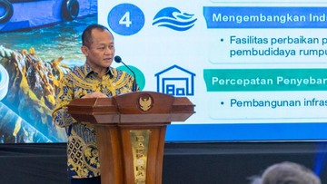Ambisi Hilirisasi Rumput Laut Indonesia Menuju Peringkat Teratas Global