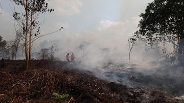 Pesawat Registrasi Asing Terjun Padamkan Karhutla, Biaya Ekonomi Mengintai