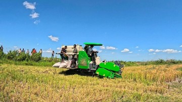 Kekeringan Melanda, Produksi Pangan Nasional Diyakini Tetap Aman
