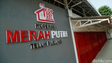 Kebijakan Remunerasi Pengelola Koperasi Desa: Analisis Keseimbangan Fiskal dan Produktivitas
