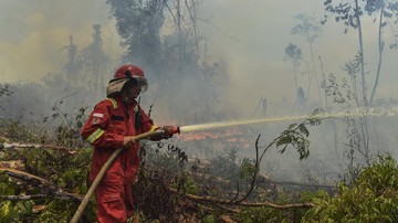 Karhutla Kalimantan Bikin Puluhan Penerbangan Batal, Ini Dampaknya