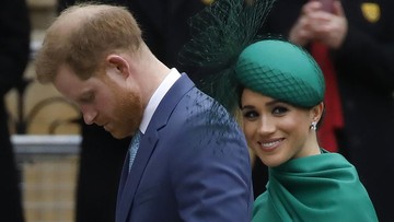 Video Kucing 70 Menit Kalahkan Proyek Hollywood Pangeran Harry dan Meghan