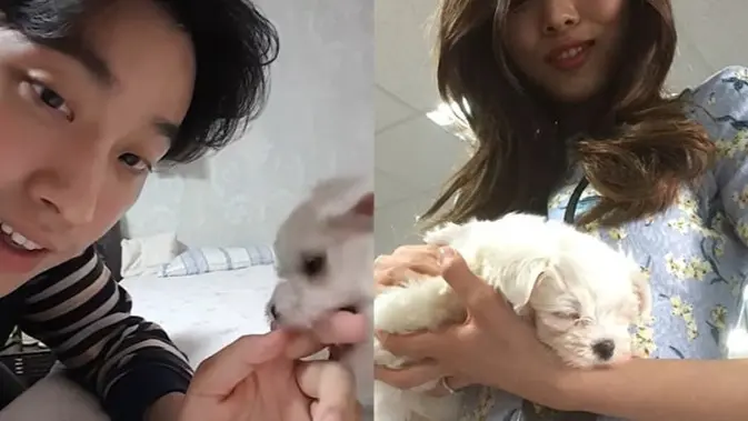 Ketika Video Lama Keluarga Kembali Menggema, Yoon So Hee Ikut Terseret