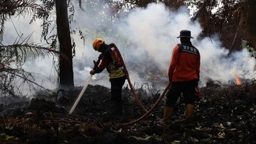 Bupati Ketapang Minta Perusahaan Bantu Padamkan Karhutla