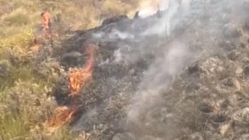 BREAKING: Karhutla Bromo Meluas, 899 Hektare Lahan Dilalap Api