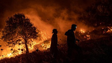 BREAKING: 30 Hektar Kawasan Gunung Rinjani Ludes Dilalap Api