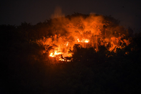 Kebakaran Hutan Gunung Jati Bandung Berlangsung Semalaman
