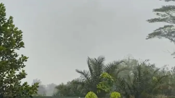 Kebakaran Hutan dan Lahan Melanda Desa Limbung, Kubu Raya